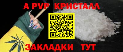 шишки Апшеронск