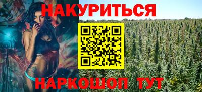 шишки Апшеронск