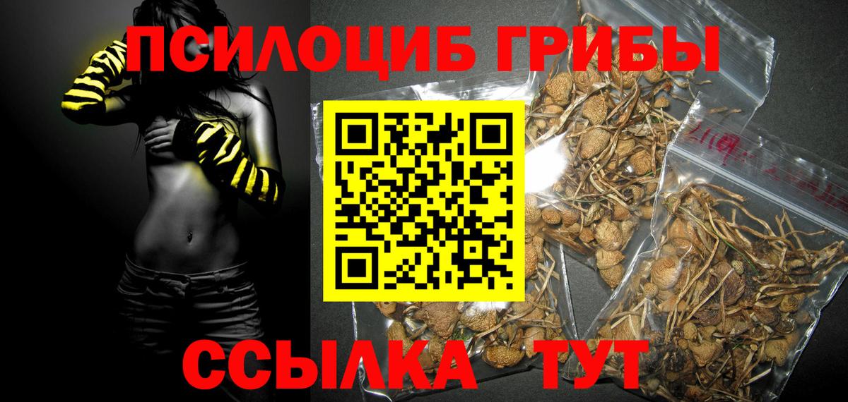 Галлюциногенные грибы Magic Shrooms Владивосток