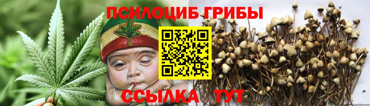 Владивосток  Галлюциногенные грибы прущие грибы  Галлюциногенные грибы мицелий  Вход с VPN 